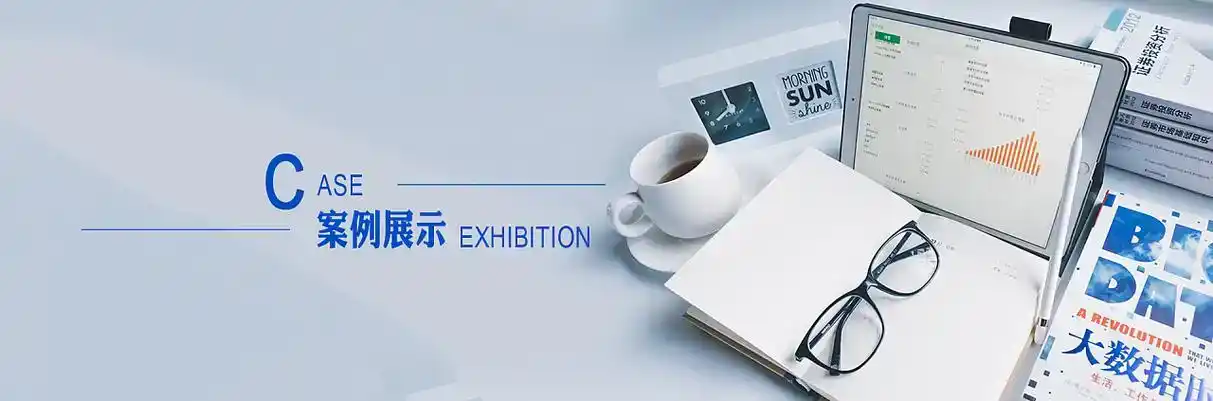 承德县软件开发